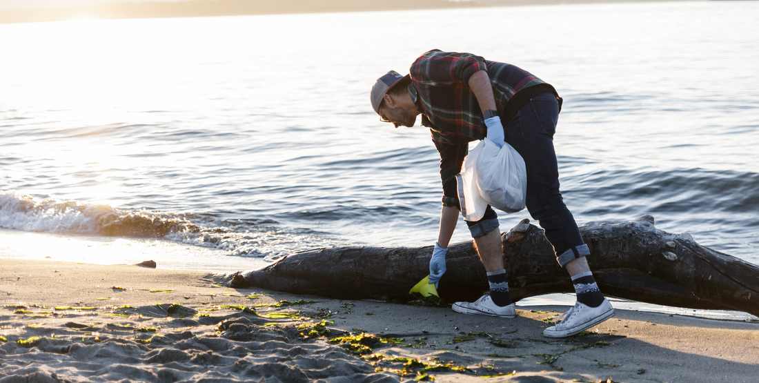 Leave No Trace in Washington's Wild: Preserving Nature's Beauty