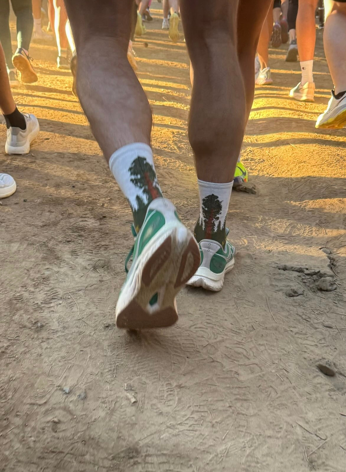 A pair of legs wearing Wul's National Parks socks.